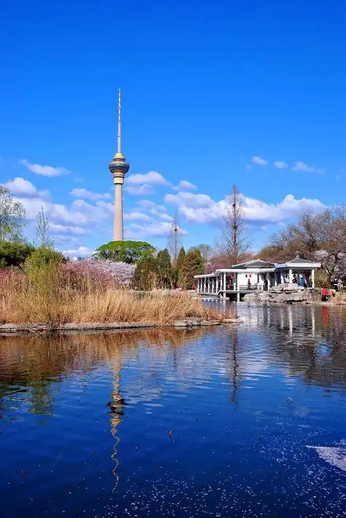 原图欣赏-太平洋摄影部落