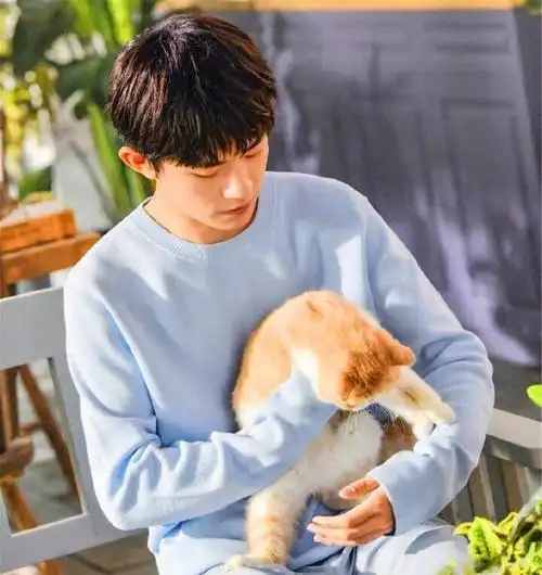 易烊千玺与橘猫互动举止十分温柔暖化粉丝的心