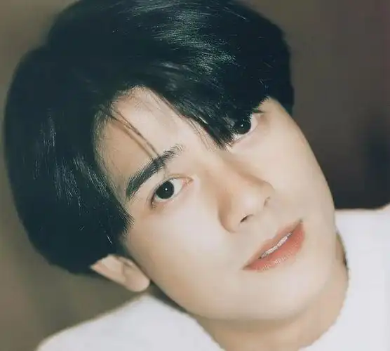 郭富城颜值,富城年轻最帅壁纸_大山谷图库