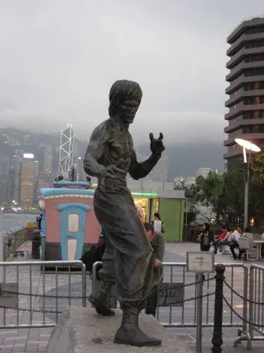 (星光大道-偶像李小龙)