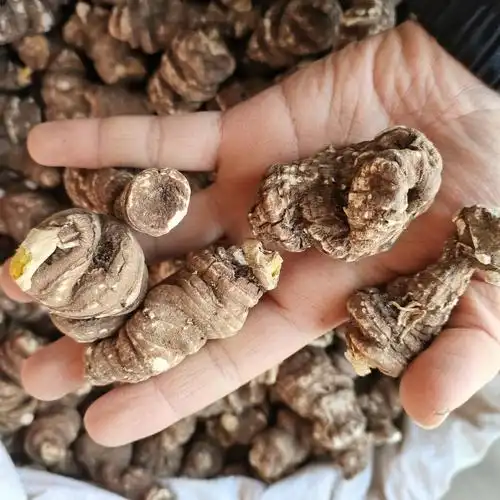 草河车(草河车图片)