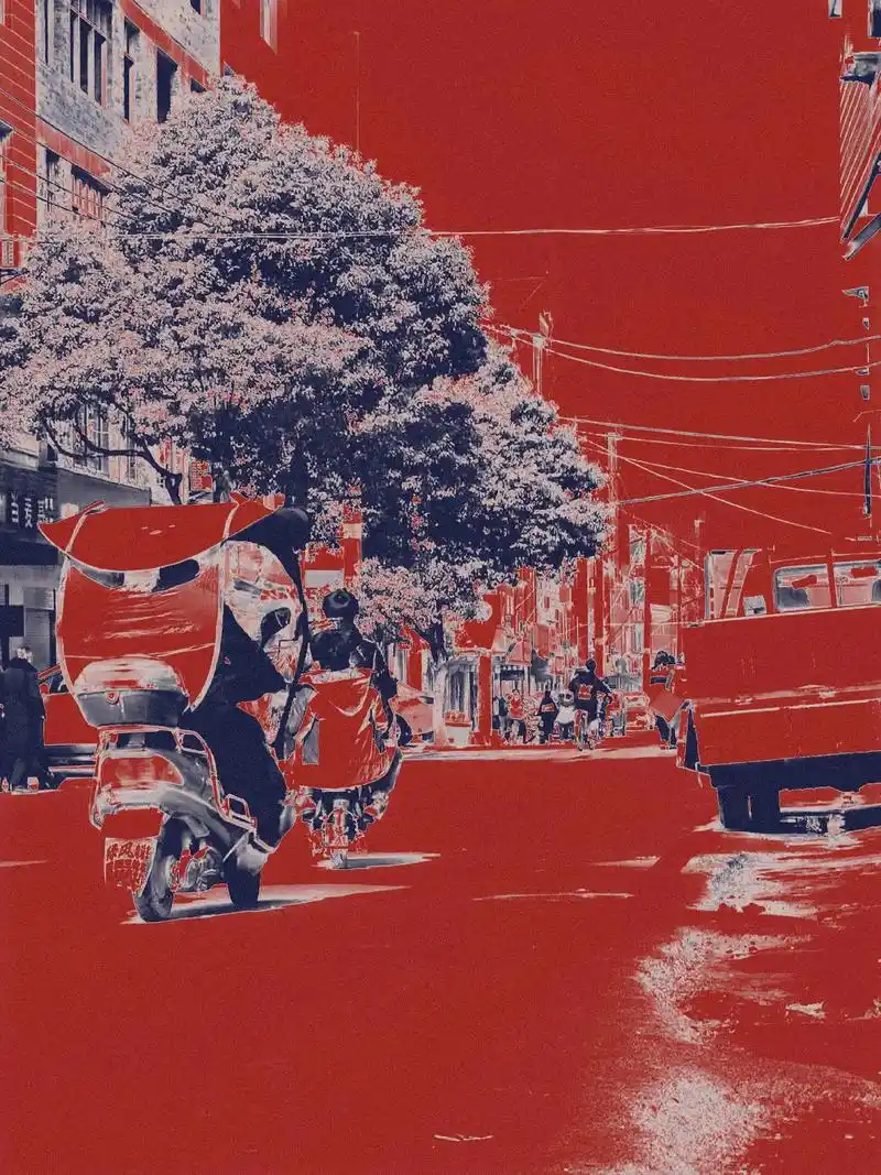 虽然花会零落,但会重开.#双向色 #日系复古#大胆配色#摄影 - 抖音