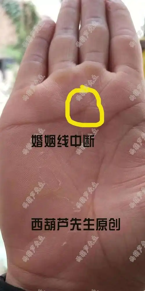 每个人手中都有的婚姻线婚姻如何准的离谱