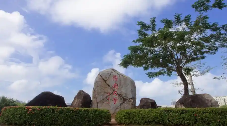 海南大学"青年大学习,奋进新时代"——测试版