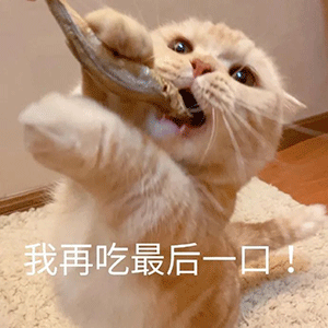 爆可爱的萌宠表情包看什么看啊没看过别人亲热吗