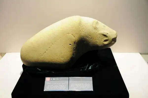 孟富林考察马鞍山市博物馆