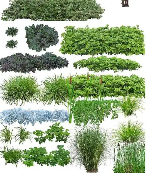 ps素材园林景观素材网站