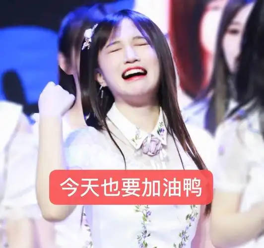 经典永流传费沁源表情包收集楼