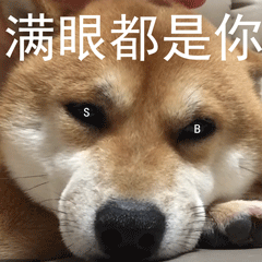 满眼羡慕图片_满眼羡慕动态图_满眼羡慕表情包gif动图下载_soogif