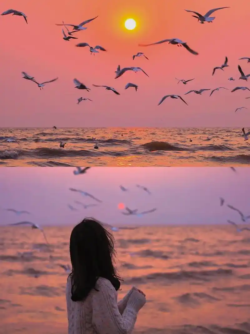 总要来趟昆明吧去滇池看看海鸥与落日