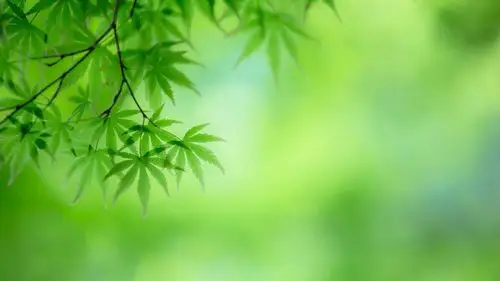 30m上传时间:2020-06-16壁纸标签:护眼壁纸封面图护眼壁纸【186】壁纸