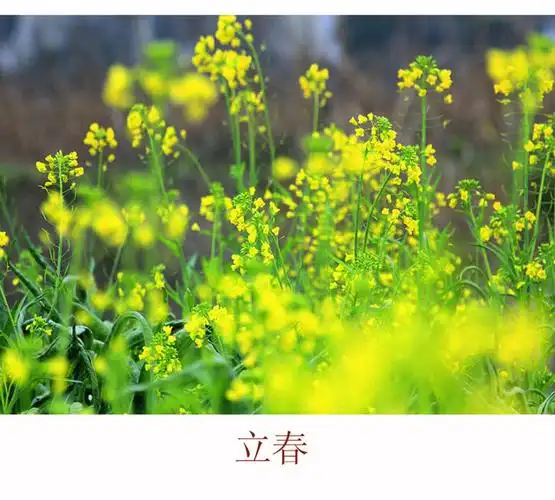 【立春】