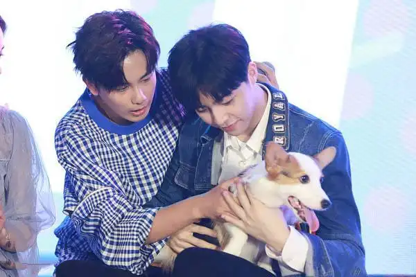 陈立农胡先煦关系怎么样?参加《hi室友》相识私下成好友