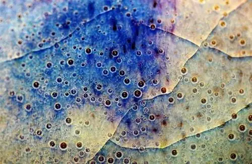 钧瓷开片与气泡