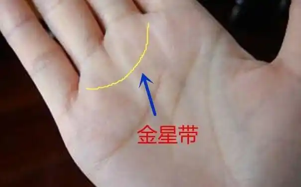 金星带手相图解一看就知道你是否能够当老板