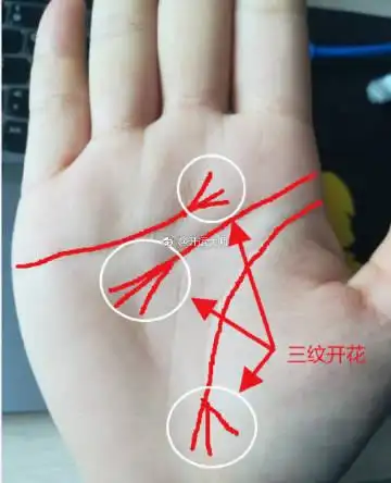 不论男女还是女生,只要天纹(感情线)人纹(智慧线)地纹(生命线)