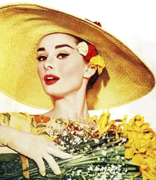 奥黛丽·赫本(audrey hepburn),1929年5月4日出生于比利时布鲁塞尔