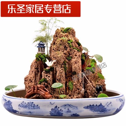 默然诺尔吸水石假山盆景上水石微景观假山石头奇石原石观赏石桌面装饰