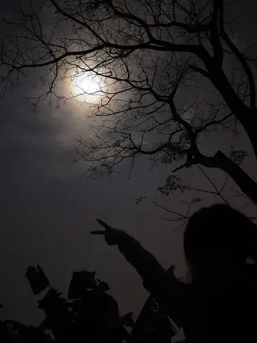 刚好农历十六.过完侄女的生日,一个人走回家, 抬头望明月. 心情.