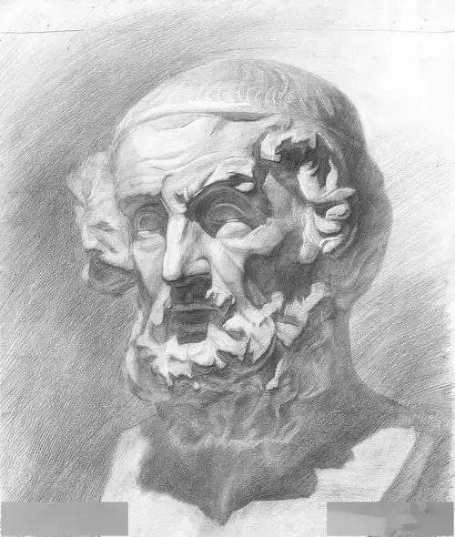 干货如此扎实的素描石膏像万一考了呢