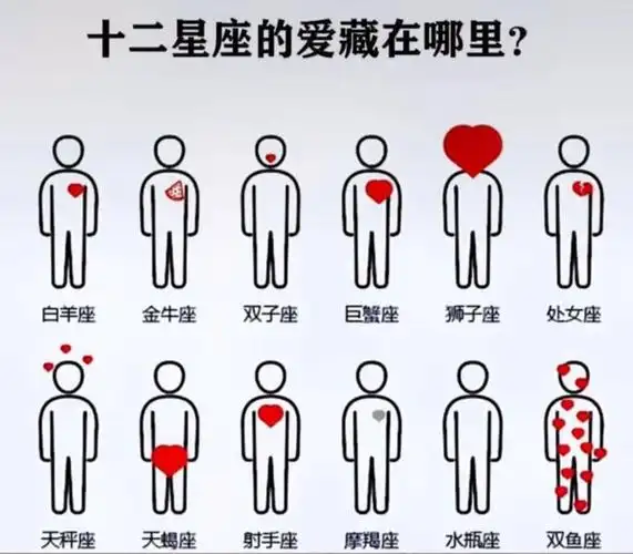 十二星座小秘密