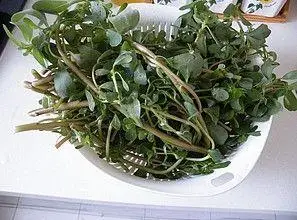 鹅掌风什么原因,做好防护不复发