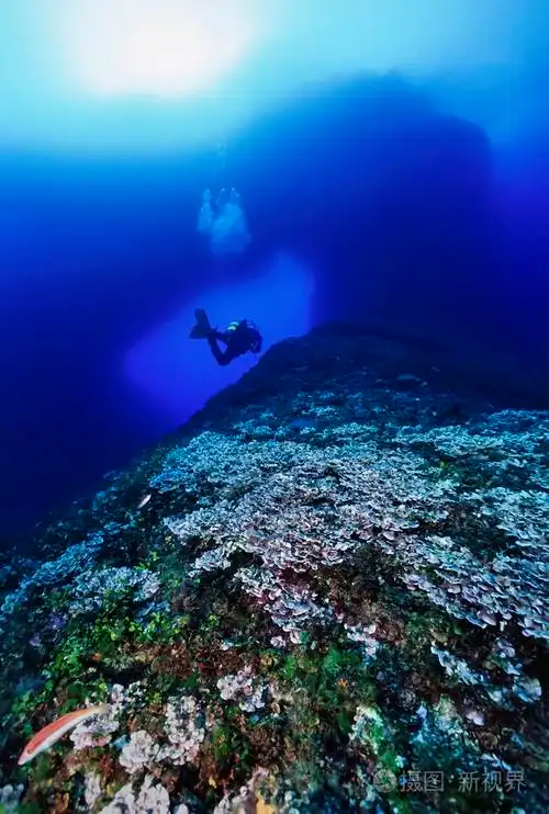 西班牙, 地中海, 伊维萨岛, 五颜六色的照片, 深海潜水-电影扫描