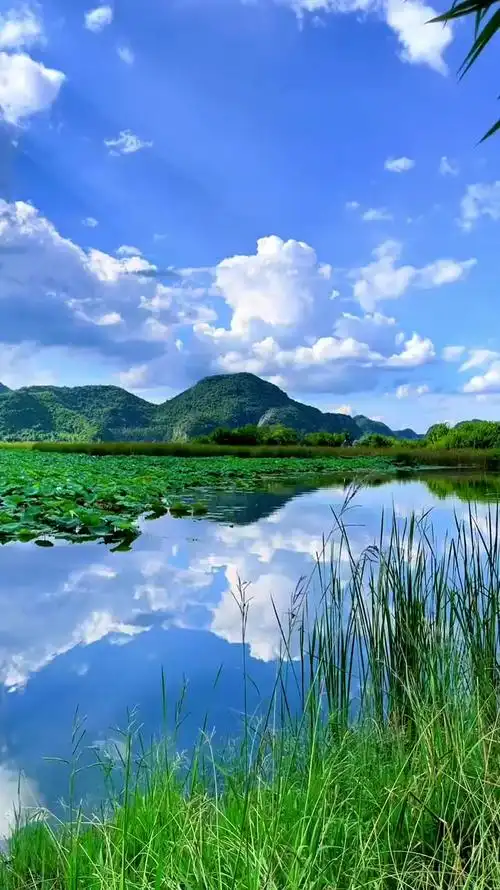 我把最美的云朵拍给你看为你写诗为你静止为你做不可能的事