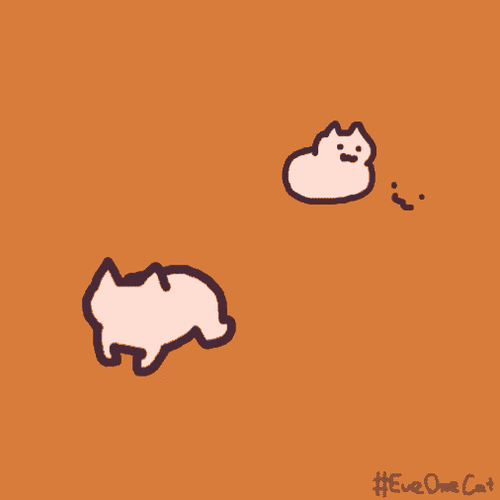 gif可爱治愈猫动图第九弹