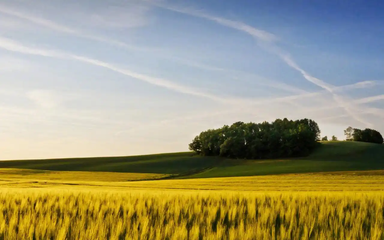 大自然清新美丽风景图片桌面壁纸