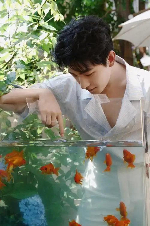 杨洋蓝白纹衬衫##杨洋闻花