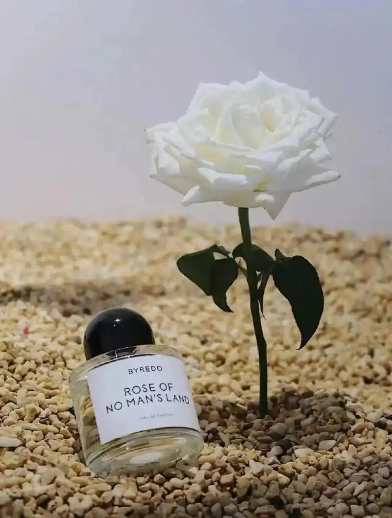 拜里朵 荒漠玫瑰(无人区玫瑰)拜里朵 荒漠玫瑰(无人区玫瑰) - 抖音