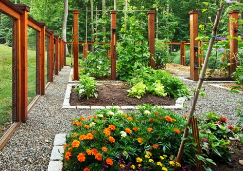 菜地设计合集:庭院景观也可以用菜地来打造,既是菜园也是花园