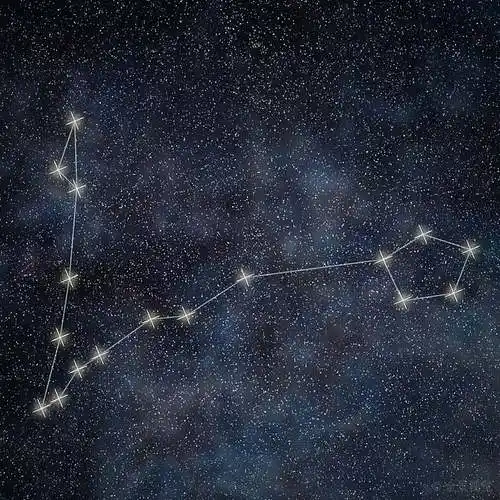 双鱼座_星座_黄道十二宫_黄道宫形_线条_星系_背景_高清图片_全景视觉