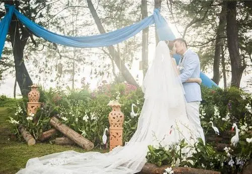 好男人陈赫大婚 新娘抹胸婚纱唯美