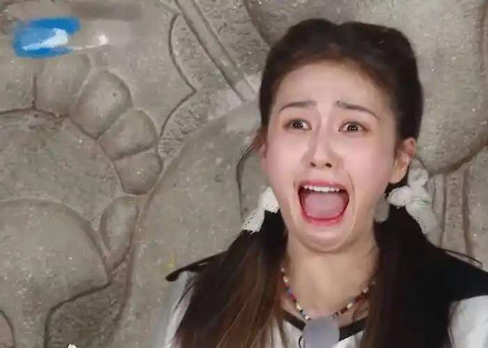 《奔跑吧》官宣,新"跑男一姐"上任,有梗有趣有颜值,不追可惜了_杨颖