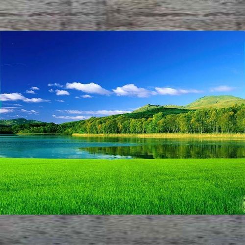 大草原海报风景画田园风光图大自然蓝天白云草地树木森林装饰画86