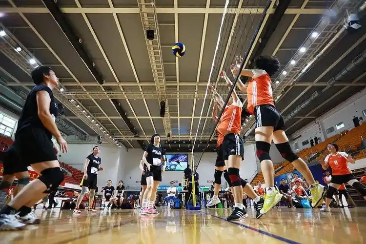 全市气排球高手云集每一幕都很精彩