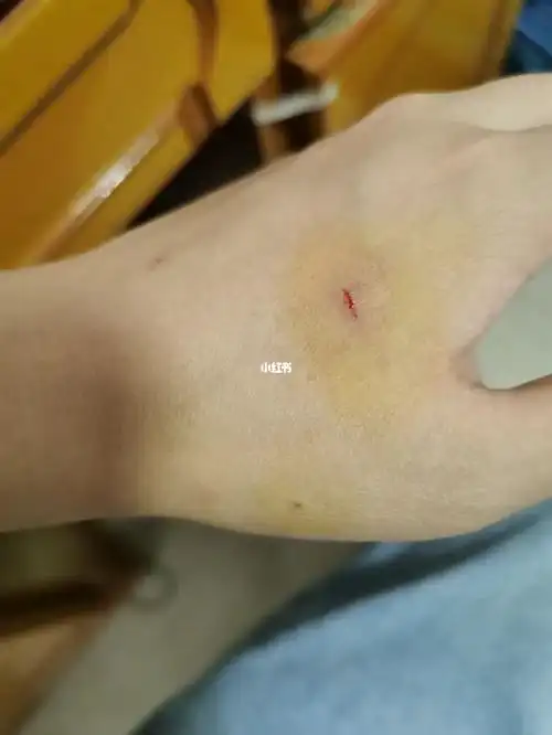 猫咪一直喜欢咬人喜欢上床睡觉像大爷