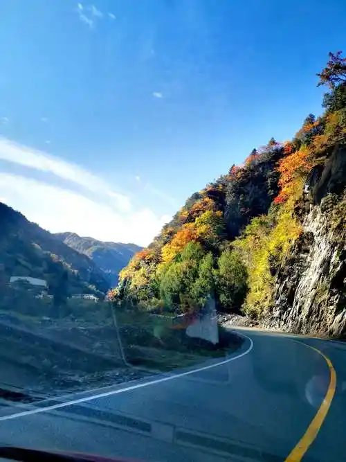 醉美熊猫大道潜龙大峡谷——成都走四方2019.11.