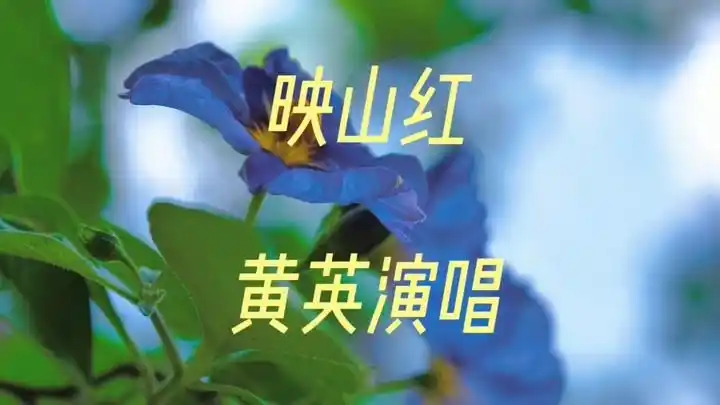 黄英一首经典歌曲《映山红》声音甜润,旋律优美,让人沉醉