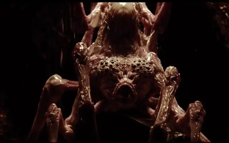 美剧裂缝之外运输中的飞船迷失深空陪伴自己的竟是外星人