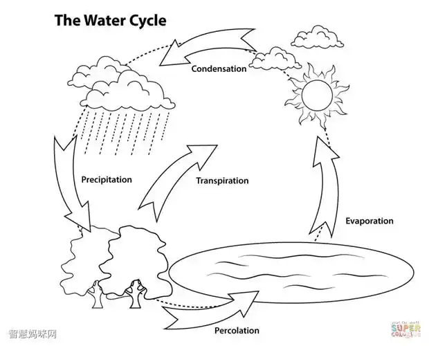 水循环简笔画图片