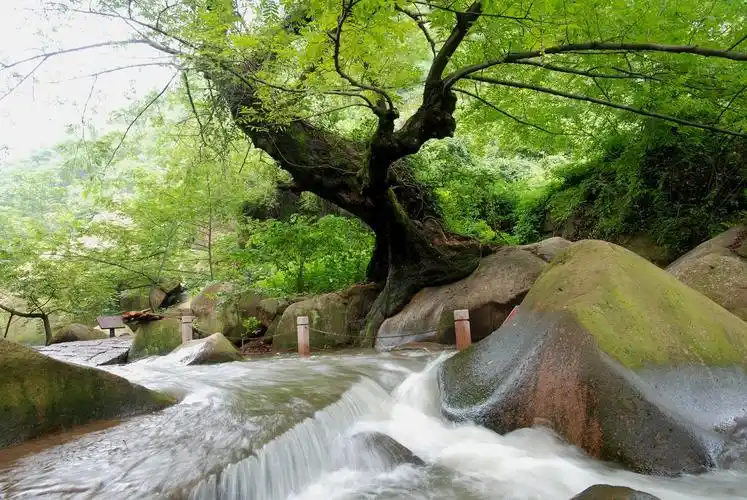 九华天池杯摄影大赛颁奖授牌仪式隆重举行