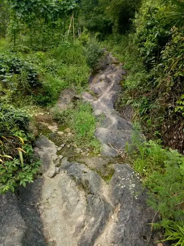 美景总在深山处