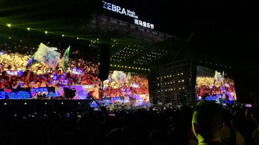 阜阳斑马音乐节李健现场风吹麦浪,超清享受,13pro直出