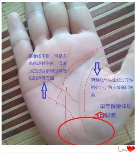 道通师傅:手相怎么看财运图解