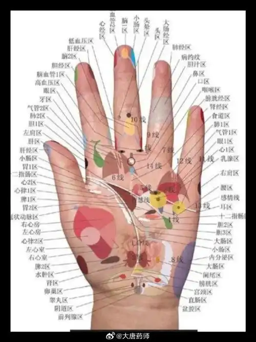 (后有总结手诊歌)    中医手诊,就是对手部的望诊,指通过手的纹路形态