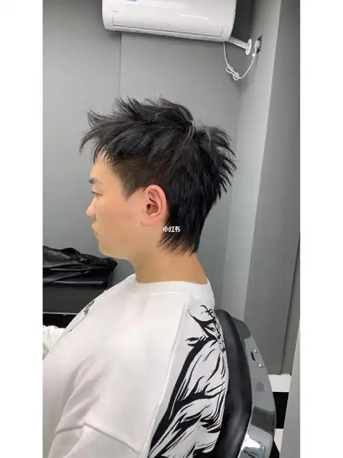 男生小狼尾碎盖