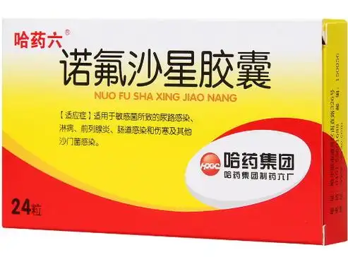 诺氟沙星胶囊价格对比01g24粒哈药集团制药六厂